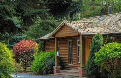 Norway Spruce Lodge - Photo 1