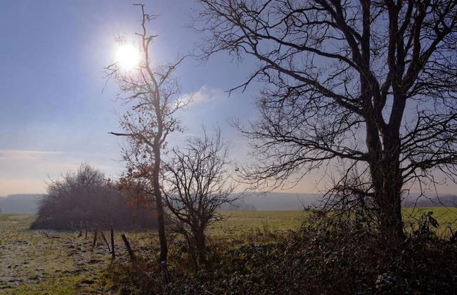 Bungalow Near the Ourthe and From the Centre of Town - Foto 31