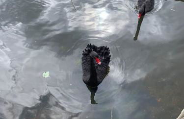 Apartment, Stylish 2 bed Riverside House, 2 Kingsize beds, Free Parking - Foto 67