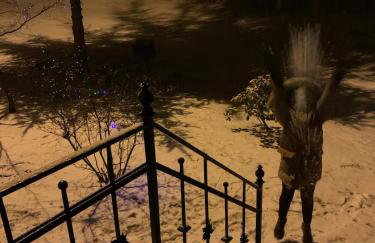 Jolly Old House - Foto 23