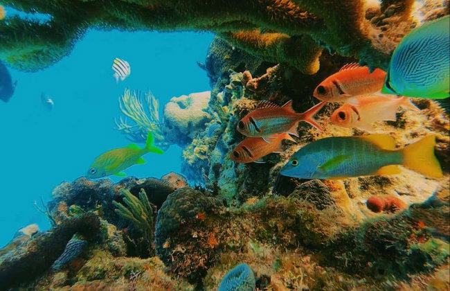 Seawalker em San Andrés - Foto 11