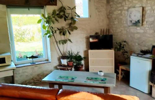 Maison charmante avec grand jardin à Noyers-sur-Cher, PMR - Photo 6