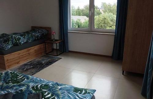 Wczasy Chmielno Apartament Turkusowy - Foto 47