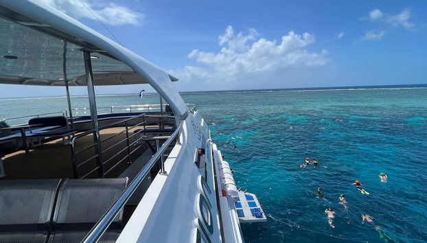 Observez deux récifs