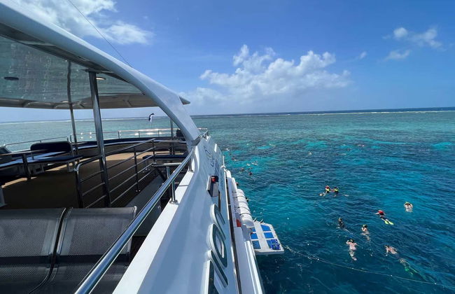 Great Barrier Reef Snorkeling Tour - Foto 5