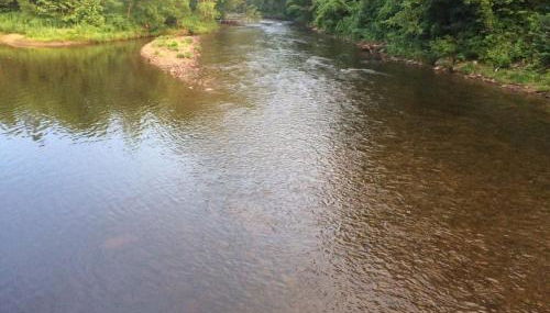 The Landing on Shavers - Foto 3