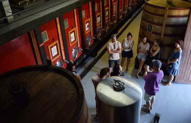 Visita à adega Quinta do Tedo - Foto 2