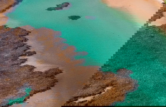 Casa Mar - Taipu de Fora - Photo 55