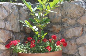 Villa Calma, recharge your body and mind - Foto 28