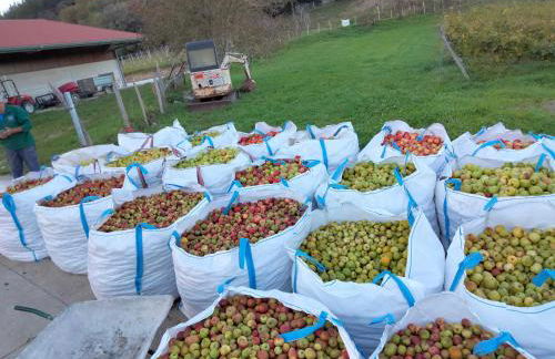 Agroturismo Erlete Goikoa -ESTAMOS EN EL CAMINO DE SANTIAGO -WE ARE ON THE CAMINO DE SANTIAGO- SENDERISMO-RUTAS Y BICICLETA - Photo 29