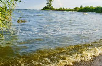 Ferienwohnung in Lütow auf Usedom Mohnblume am Achterwasser - Foto 3