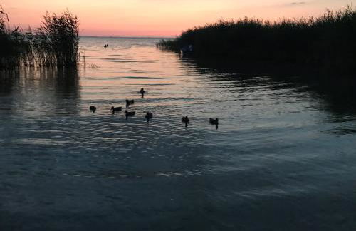 Ferienhaus Nationalparkidille - Foto 27