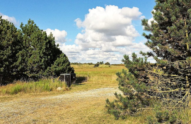 4 Star Holiday Home in Snedsted - Foto 10