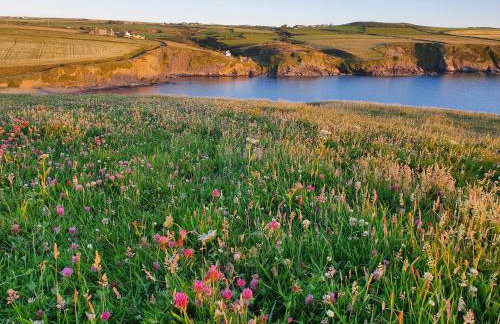 Villa Muneera - rural retreat in the heart of Pembrokeshire - Foto 9