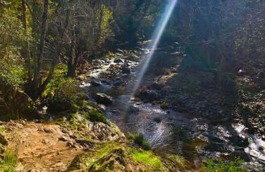 Alojamiento La Fuente - Foto 29