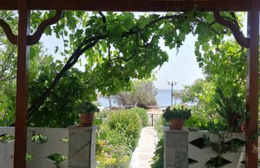 Tiki Rooms - Foto 44