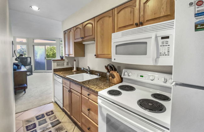 208 Village Gate Studio Bedroom Condo by RedAwning - Photo 4