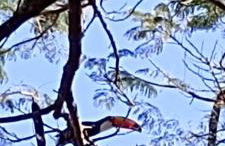 Chácara da Cláudia lindoia - Foto 7