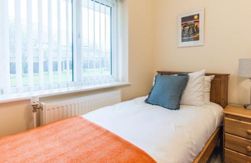 Pared Isaf - Foto 22