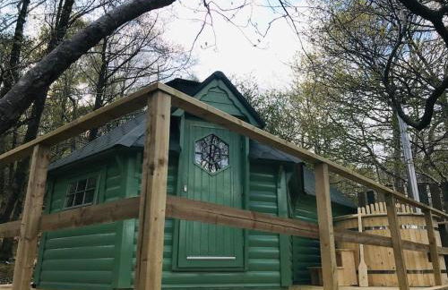 Tree Top Cabin with Private Hot Tub - Foto 9