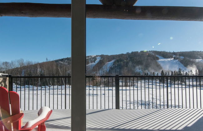 Domaine Nymark - Photo 38