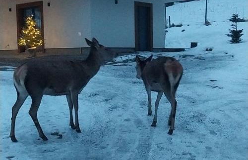 Domek na Uboczu - Foto 43