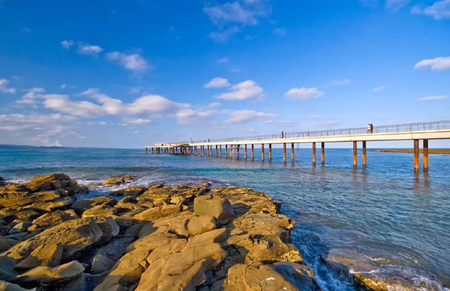 Whispering Gums Lorne Ocean Views Pet Friendly EV Charger - Photo 39