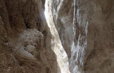 Agriturismo Colle Tripio - Foto 20