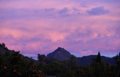 Rustic charm, Olivo Suite with private bathroom and unique views - Foto 16