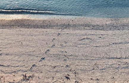 Villetta sul mare - Foto 53