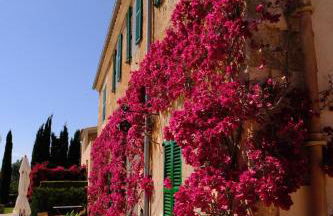 son capellot - Foto 35