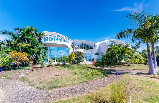 Alterhome Turtle Studio - Foto 21