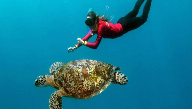 Quicksilver Outer Barrier Reef Cruise de Port Douglas Marina - Foto 4