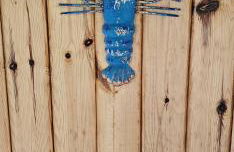 The Old Ferryhouse - Foto 28