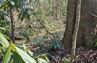 Perfectly Imperfect Cabin - Foto 22