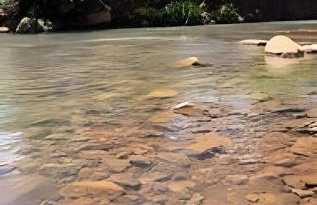 Cabana Pequeno Bosque Refúgio dás Águas - Foto 33