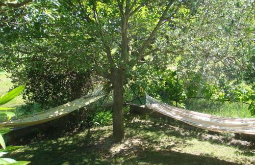 L’Olivier - Foto 17