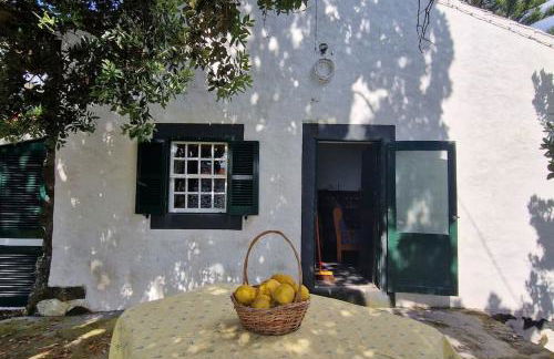 Terra`s Place - Photo 6