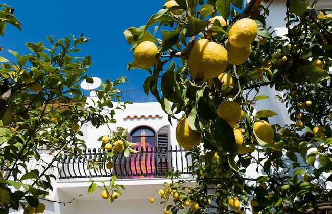 Casa Vacanza La Limonaia - Foto 28