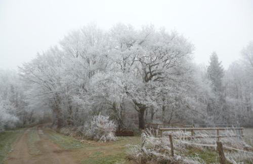 Old French Country Cottage for 2 nature lovers paradise - Foto 26
