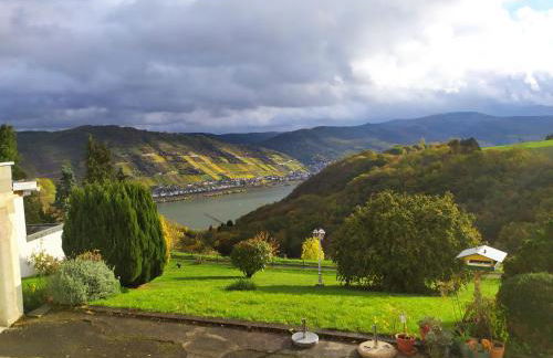 Schau-Rhein#2 - on Top of Bacharach, Rhineview - Photo 21