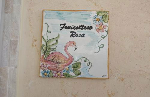 Oasi tropicale - Foto 8