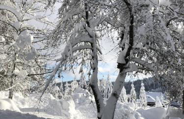 Schwarzwaldhimmel - Foto 32