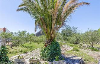 House Mladen - Photo 17