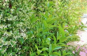 Evilion house inTholo. Sea, nature, relaxation! - Foto 58