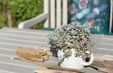 Ferienwohnung Nostalgie- Obsthof Steffelin - Foto 17