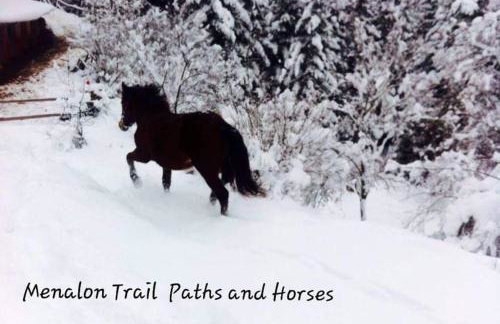 Elati Hills - Photo 53