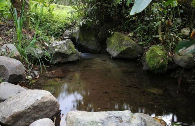 Mindo Eco chalet - Foto 42