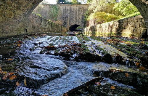 Apartment Serenade am Zwinger - Foto 42