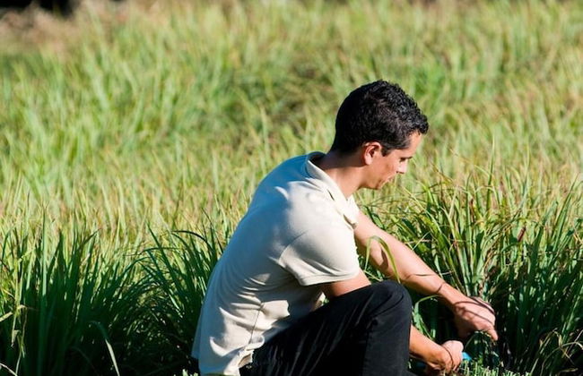 Quinta do Mel - Foto 52